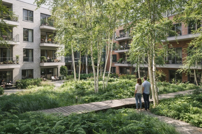 Jardin forêt - paysagiste