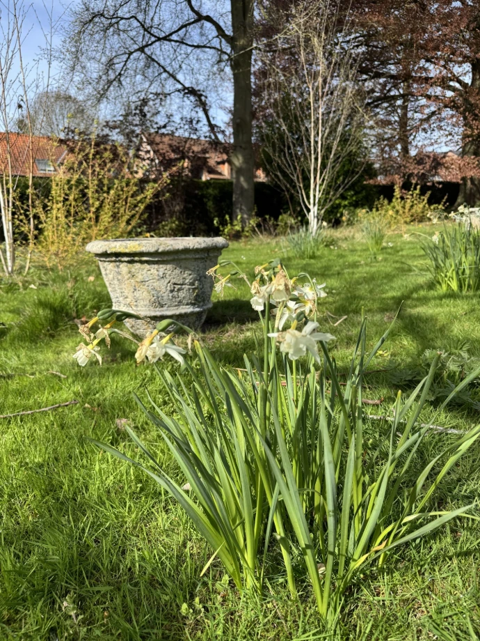 Jardin d’hiver 