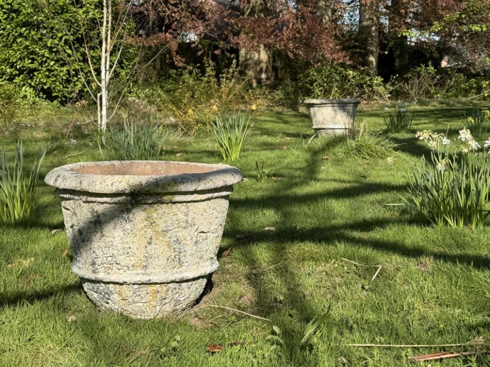 Pot XXL dans Jardin