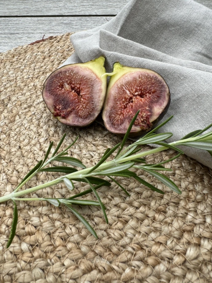 Jardin potager et jardin nourricier