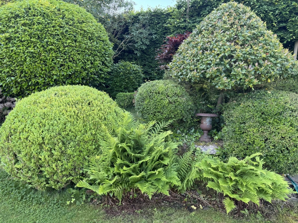 art topiare jardin anglais