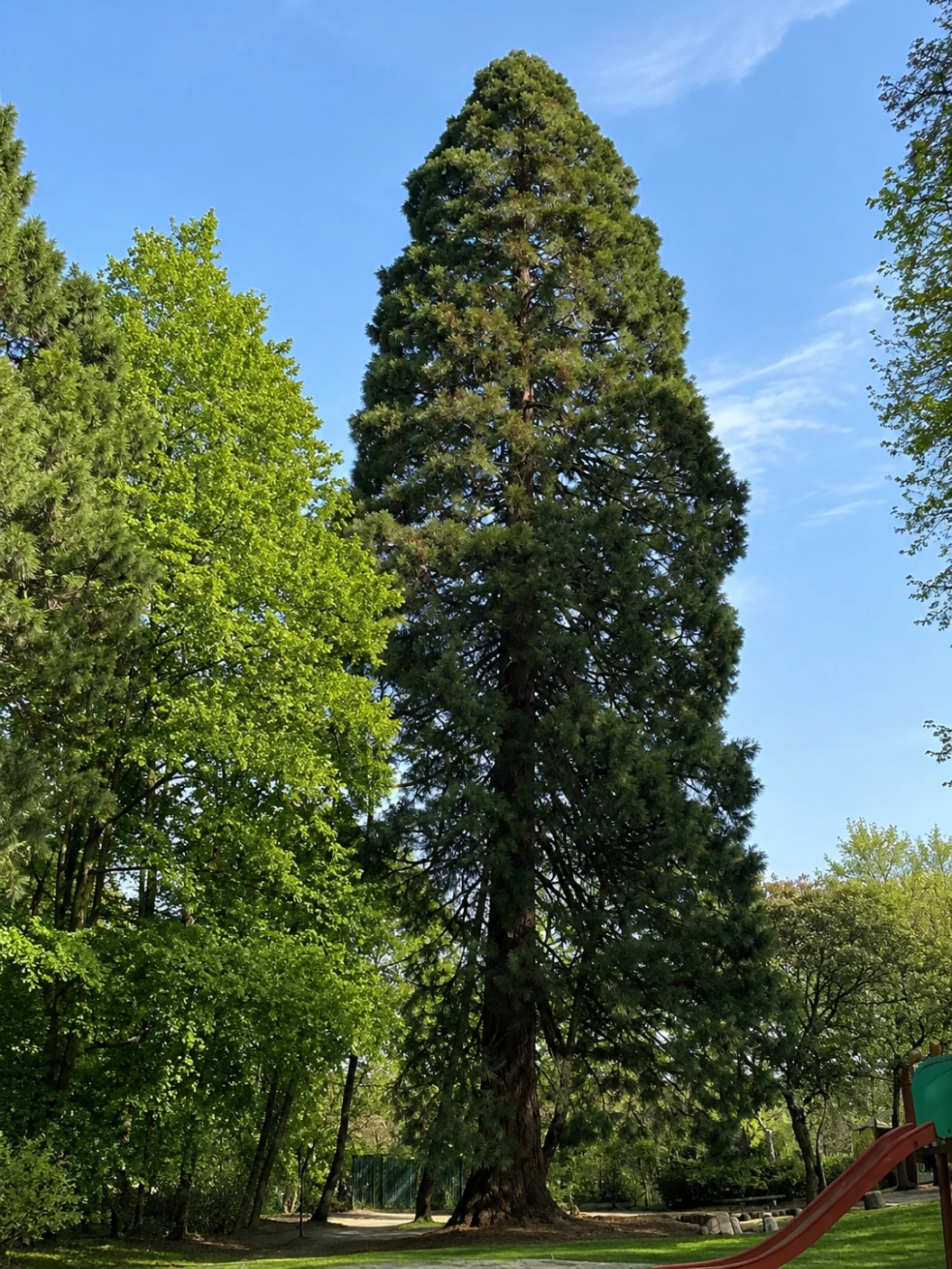 Sauvagère Park