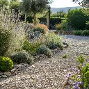 Jardin sur gravier mineral - gravel garden (5).webp