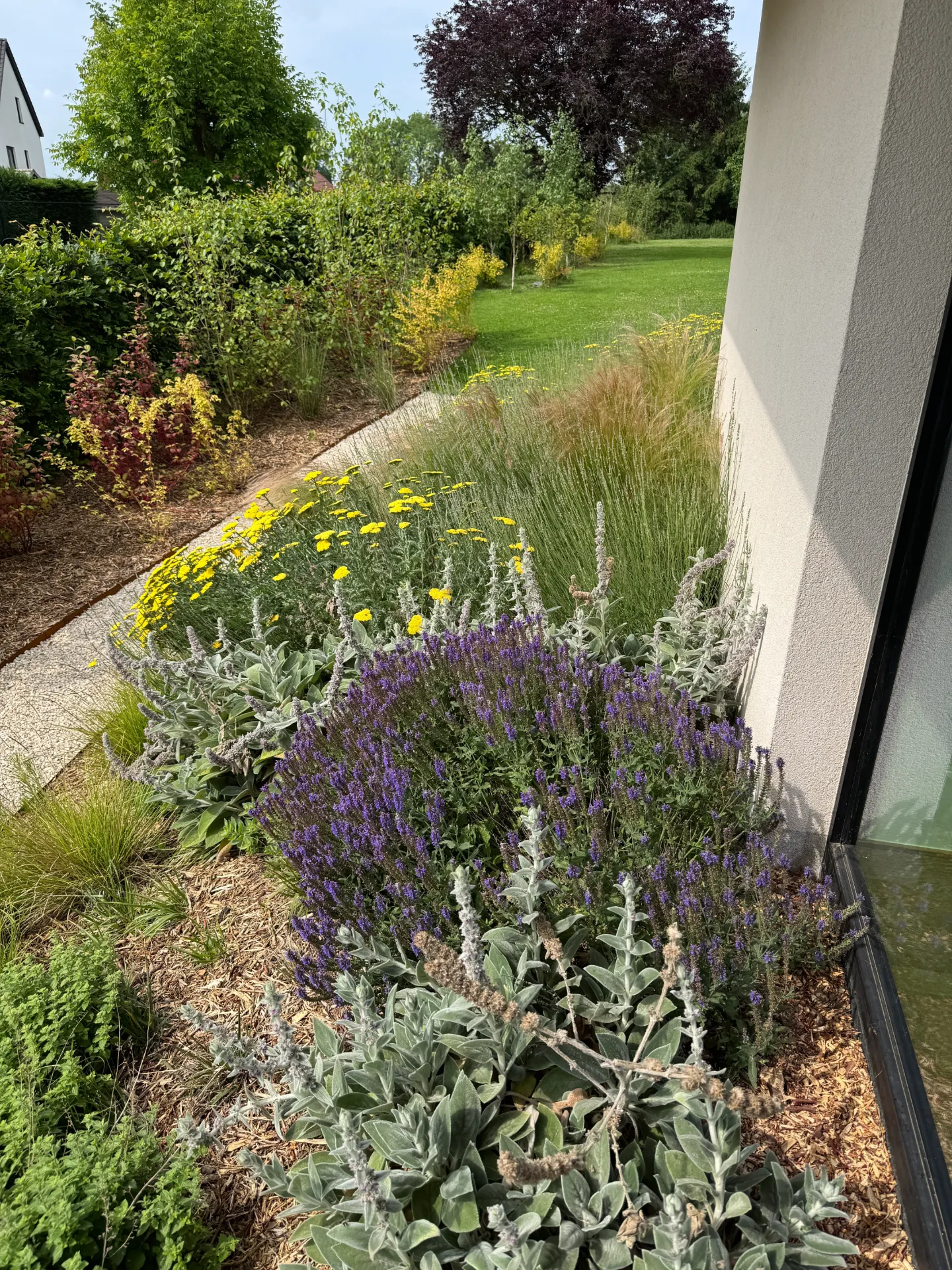 Design massif & Ambiances